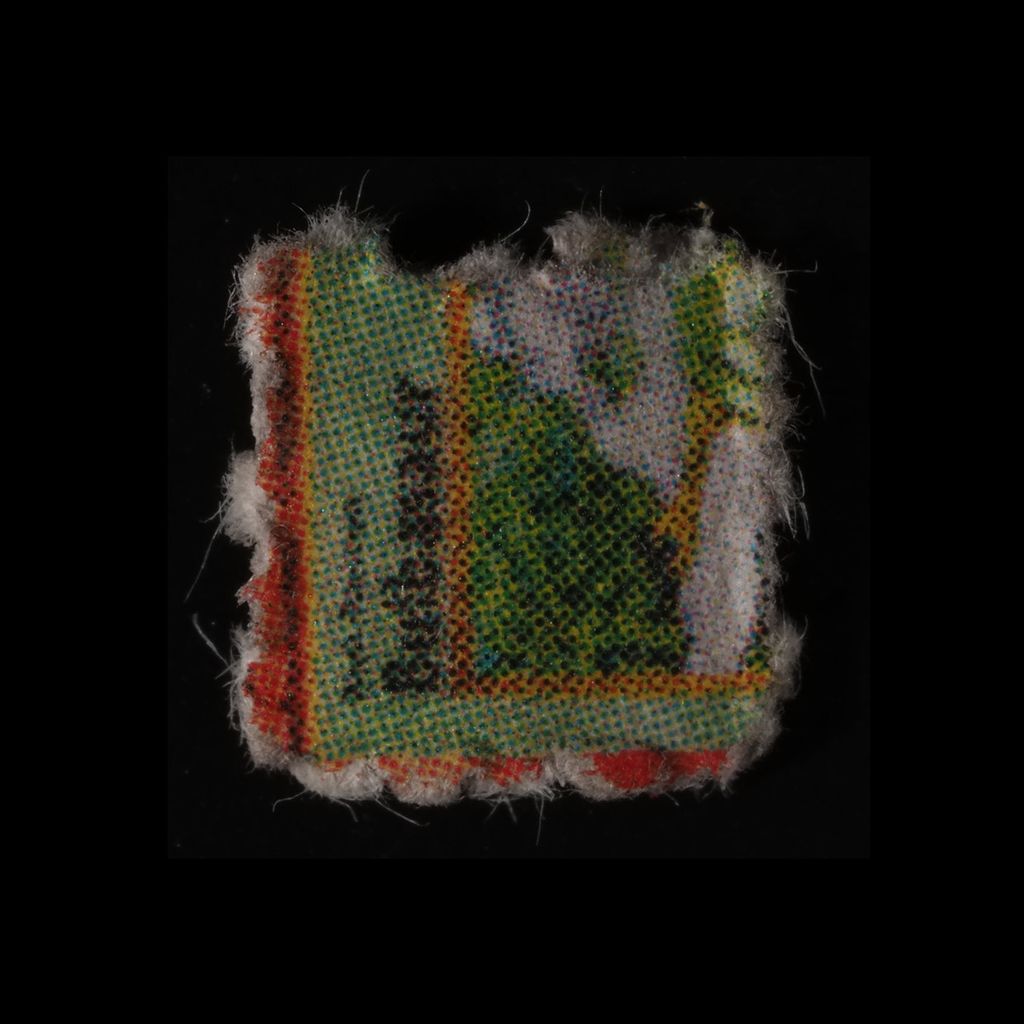 Bulbasaur / Pokemon molecular scheme