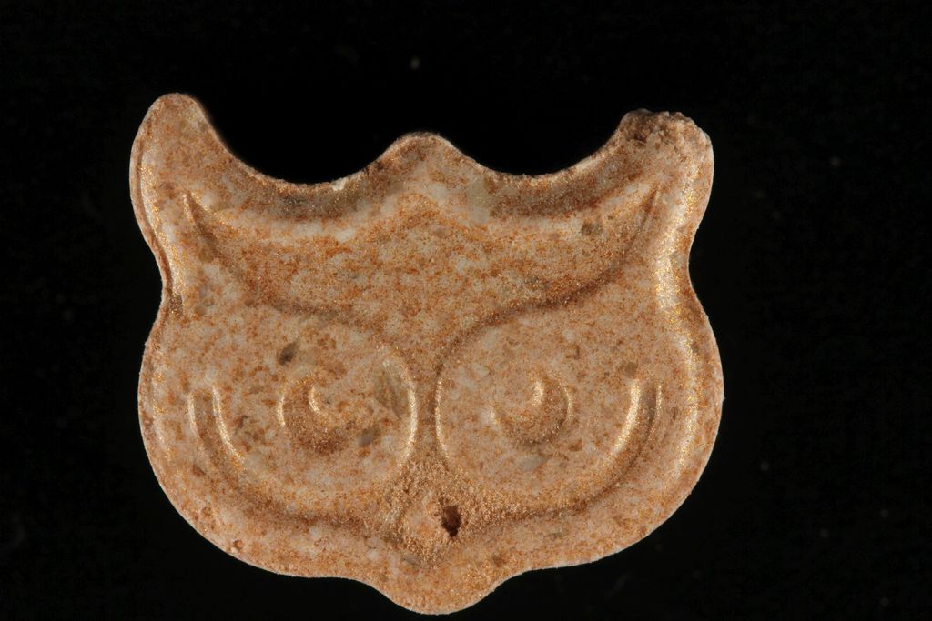 Owl / Panama molecular scheme