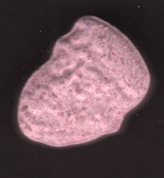 Trump molecular scheme