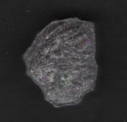 Lion molecular scheme