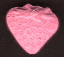 Strawberry molecular scheme