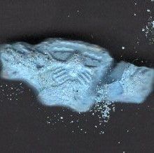 Sonic molecular scheme