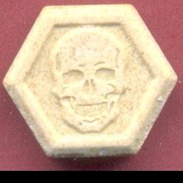 Skull molecular scheme