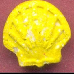 Shell molecular scheme