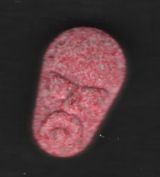 Breaking Bad molecular scheme