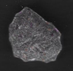 Lion molecular scheme