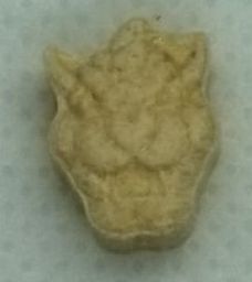 Tiger molecular scheme