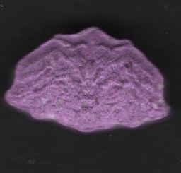 Inner/Sinner Cerberus molecular scheme