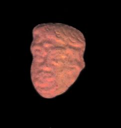 Trump molecular scheme