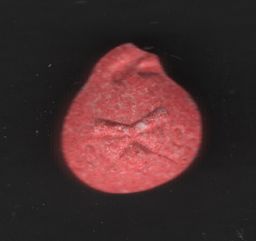 Bird molecular scheme