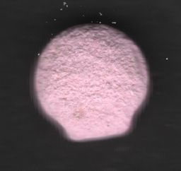 +/- molecular scheme