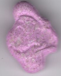 Donald Duck molecular scheme