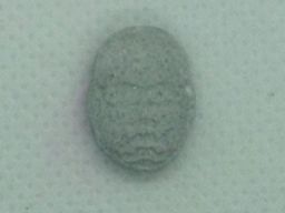 Carl Cox molecular scheme