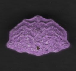 Inner/Sinner Cerberus molecular scheme