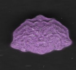 Inner/Sinner Cerberus molecular scheme