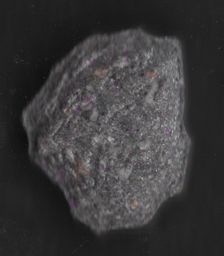 Unidentifiable molecular scheme