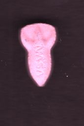 NASA molecular scheme