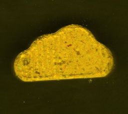 SoundCloud molecular scheme