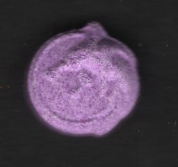 Wolf molecular scheme