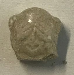 WhatsApp Monkey molecular scheme