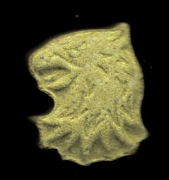 Griffin molecular scheme