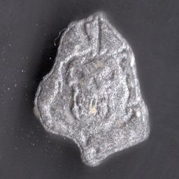 Grim Reaper molecular scheme