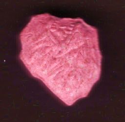 Lion molecular scheme