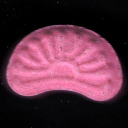 Sunrise molecular scheme