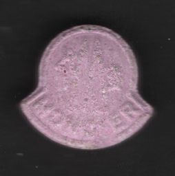 Moncler molecular scheme