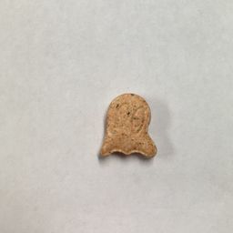 Ghost molecular scheme