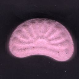 Sunrise molecular scheme