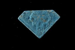 The Punisher molecular scheme