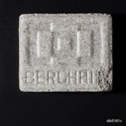 Berghain molecular scheme