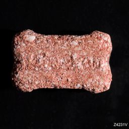 Heineken molecular scheme