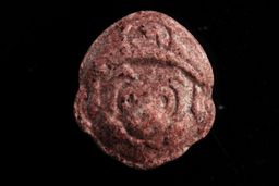 Super Mario molecular scheme