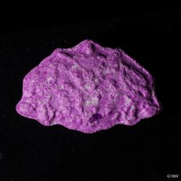 Inner/Sinner Cerberus molecular scheme