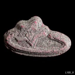 Pop Smoke molecular scheme