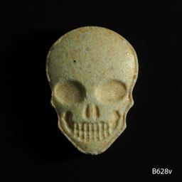 Skull / My Brand molecular scheme