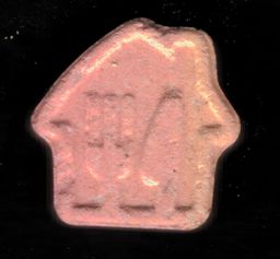 Logo new molecular scheme