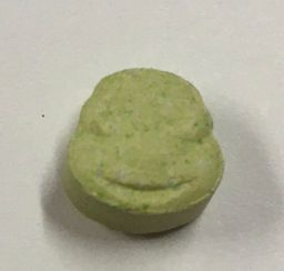 Turtle molecular scheme