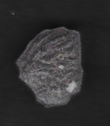 Lion molecular scheme