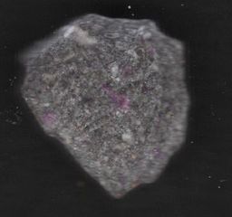 Grim Reaper molecular scheme