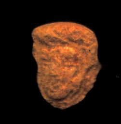 Trump molecular scheme