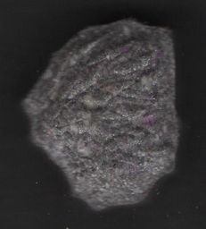 li-ion + molecular scheme