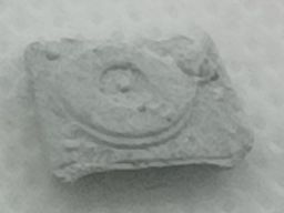 Turntable molecular scheme