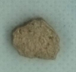 Grim Reaper molecular scheme