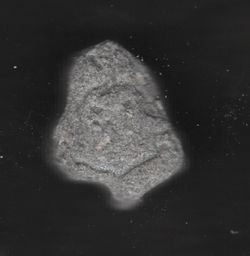 Grim Reaper molecular scheme