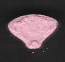 Simba molecular scheme