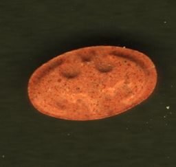 Batman molecular scheme