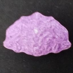 Inner/Sinner Cerberus molecular scheme